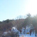 태백산 - 서구 완정로 151 | 태백산