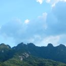 중동종로약국 이미지