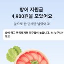 당근 방어지원금 받기 이미지