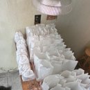 수그루밍 이미지