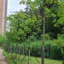 11650-14-14-4 이미지