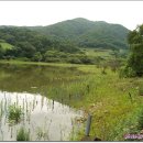 산천낚시터 이미지