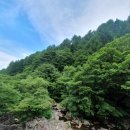 산림청 국립지리산 자연휴양림 야영장 후기 숲나들e 예약/ 인월전통시장 오일장