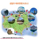 울릉도잠자리투어