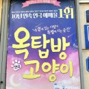 옥탑방 | 혜화 - 10년 연속&#39;1위&#39; 대학로 연극 데이트 추천 및 연극 후기 [옥탑방고양이]
