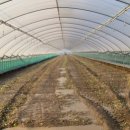 옥계농장 이미지