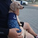 농협 앞 횡단보도 이미지