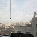 두현약품 네이버블로그