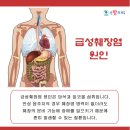 선항외과
