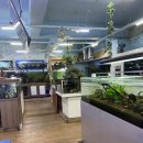 주식회사 네오테트라 | [물생활]상아쿠아 방문기