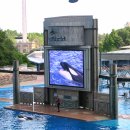 씨~월드 이미지