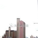 상록수공인중개사사무소 이미지