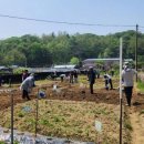 성동농장 이미지