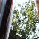 기린 세탁소 이미지