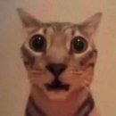 천수목욕탕 | 세신 후기