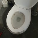 호계공원화장실 이미지