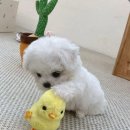 일하는이야기