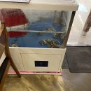 무교낙지 이미지