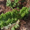 아산삼성요양병원 이미지