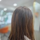 압구정헤어샵 [더칼라라운지] 세련된 스타일 유지 가능한 염색 후기 분위기 편안한 미용실