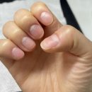 더하다네일 이미지