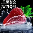 오로정승마을 영농조합법인 | 제1회 경북 구미시 오로정승마을 딸기축제 개최