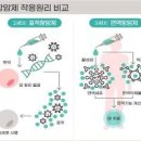 암치료 종류 항암요법 &amp; 방사선치료 주의사항 이미지