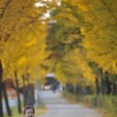 은행목장 이미지