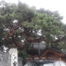 한산정씨삼강문 이미지