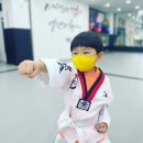 코리아태권도 이미지