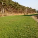 비아로45번길 이미지