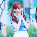 지우 카카오 검색결과