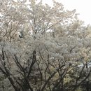 금정산성마을 이미지