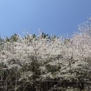 가마골 | 경남양산 맛집 “가마골” 방문 후기