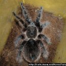 별나라 PC방 이미지