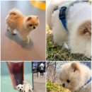 옐레드 하남미사점 이미지