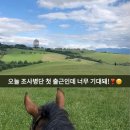 한다무역 | 무역회사 퇴사 후기와 첫 이직