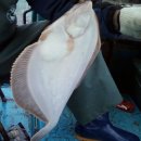 감나무집 민박 이미지