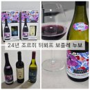 GS25 오치마을점 | 그랜트 버지 벤치마크 샤도네이, 24년 보졸레 누보, gs25, 와인25+ 픽업 사전예약 시음 후기, 내돈내산