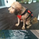 가든수목정 이미지