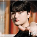 페이즈 bnt뉴스