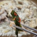 김포 고촌복집 뜨끈하고 구수한 누룽지 토종닭 백숙