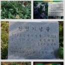 나리 신령수 이미지