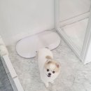 원미용실 이미지