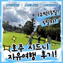 강가 가든 | 12박 13일 시드니 자유 여행 다섯째날 #5_미술관, 보태닉가든, 오페라하우스