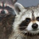 나도 정리전문가, 정리의 마법 이미지