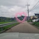 올바른개성손만두 왕송호수점 이미지