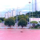 성당 출구 울타리 홍가시나무 식재(植栽) 이미지
