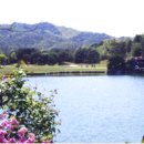 케이에스골프클럽 이미지