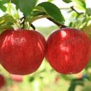 강릉영동대학 2 이미지